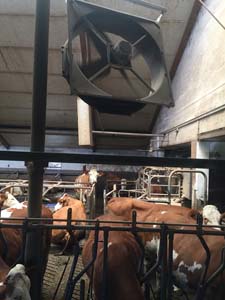 KIT VENTIL ECO2 SANS GRILLE