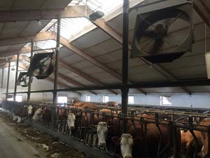 VENTILATEUR SANS GRILLE