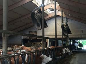 VENTILATEUR SANS GRILLE