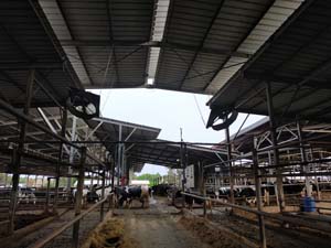 VENTILATEUR SANS GRILLE