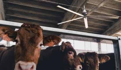 Pourquoi installer une solution de ventilation dans votre bâtiment ?